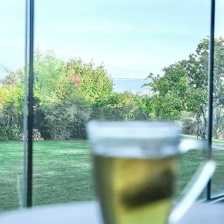 Caroline, D'annecy Hotel